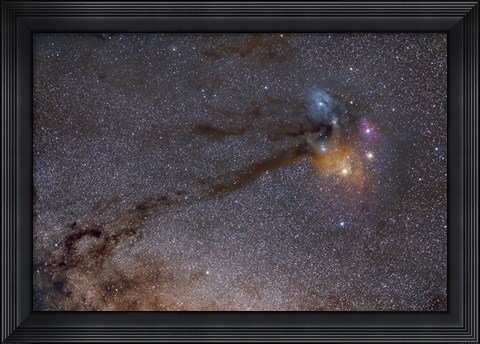 Framed Rho Ophiuchus Area in Sagittarius Print