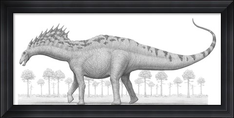 Framed Amargasaurus Cazaui Dinosaur from the Early Cretaceous Period Print