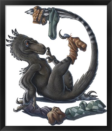 Framed Deinonychus Dinosaur Playing with Socks Print