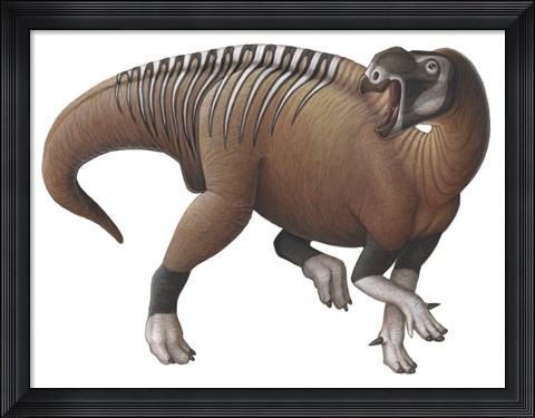 Framed Muttaburrasaurus Dinosaur from the Early Cretaceous Period Print