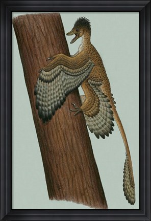 Framed Microraptor Gui Print