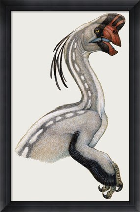 Framed Oviraptor, a Small Dinosaur that Lived During the Cretaceous period Print