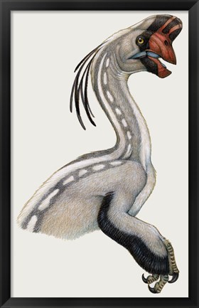 Framed Oviraptor, a Small Dinosaur that Lived During the Cretaceous period Print