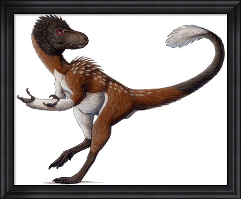 Framed Dilong Paradoxus All Fluffed up and Feeling Sassy Print