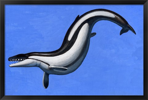 Framed Basilosaurus Print