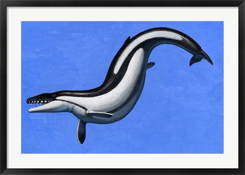Framed Basilosaurus Print