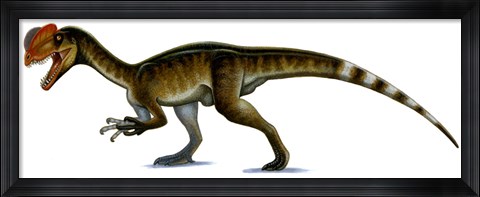 Framed Dilophosaurus Wetherilli Print