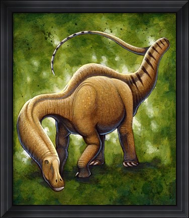 Framed Apatosaurus Print