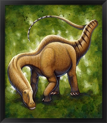 Framed Apatosaurus Print