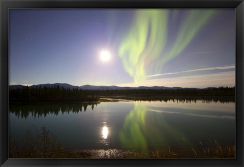 Framed Aurora Borealis with Full Moon over the Yukon River in Canada Print