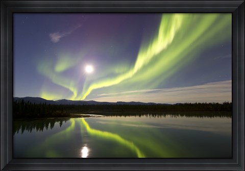 Framed Aurora Borealis and Full Moon over the Yukon River, Canada Print