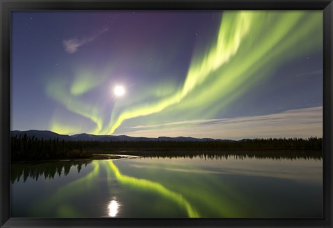 Framed Aurora Borealis and Full Moon over the Yukon River, Canada Print