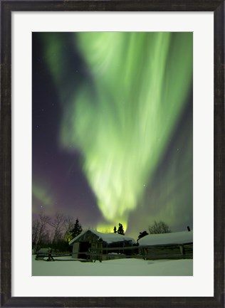Framed Aurora Borealis and the Big Dipper Whitehorse, Yukon, Canada Print