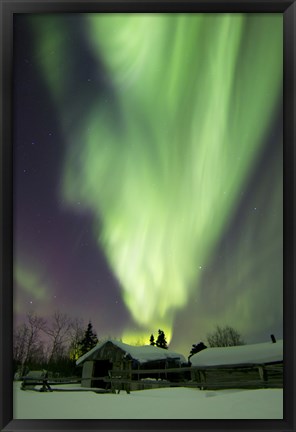 Framed Aurora Borealis and the Big Dipper Whitehorse, Yukon, Canada Print