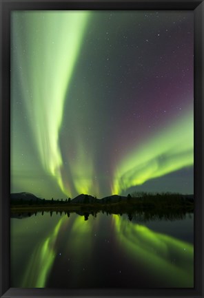 Framed Aurora borealis over Fish lake, Whitehorse, Yukon, Canada (vertical) Print