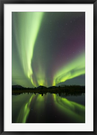 Framed Aurora borealis over Fish lake, Whitehorse, Yukon, Canada (vertical) Print