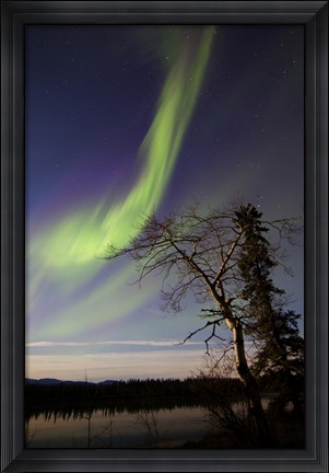 Framed Aurora Borealis over the Yukon River, Whitehorse, Canada Print