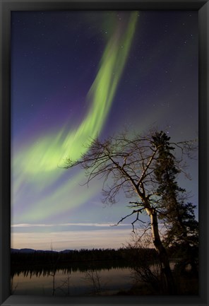 Framed Aurora Borealis over the Yukon River, Whitehorse, Canada Print