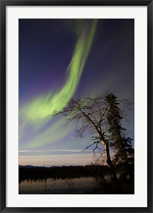 Framed Aurora Borealis over the Yukon River, Whitehorse, Canada Print