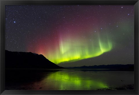 Framed Aurora Borealis with Big Dipper over Kluane Lake, Yukon, Canada Print