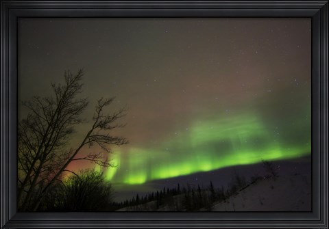 Framed Aurora Borealis, Twin Lakes, Yukon, Canada Print