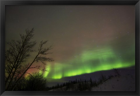 Framed Aurora Borealis, Twin Lakes, Yukon, Canada Print