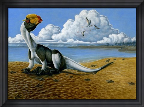 Framed Dilophosaurus on the beach Print