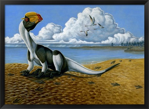 Framed Dilophosaurus on the beach Print