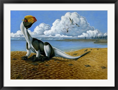 Framed Dilophosaurus on the beach Print