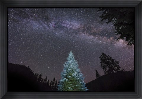 Framed Pine Tree Glows Under the Arch of the Milky Way Print