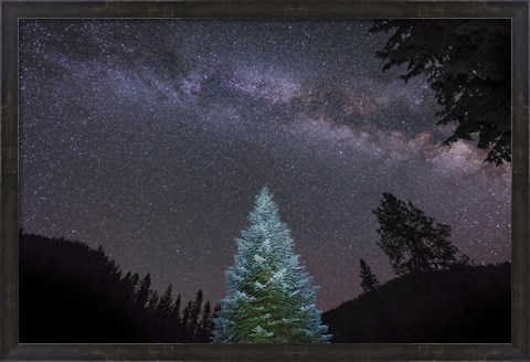 Framed Pine Tree Glows Under the Arch of the Milky Way Print