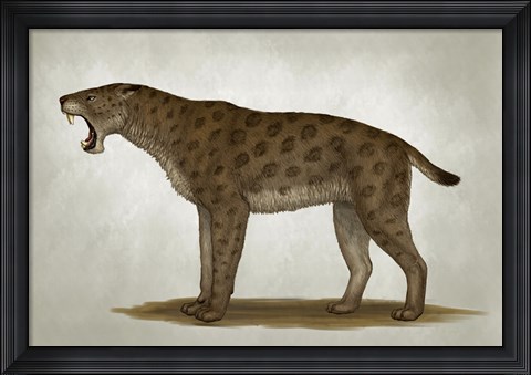 Framed Homotherium Latidens Print