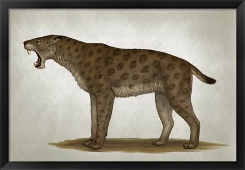 Framed Homotherium Latidens Print
