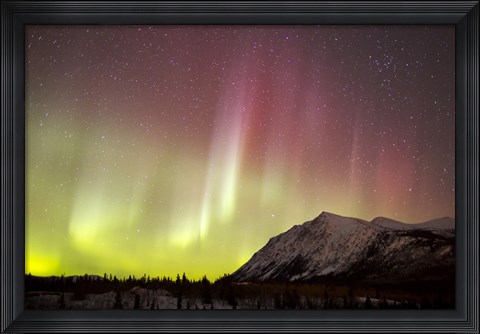 Framed Red Aurora Borealis over Carcross Desert, Canada Print