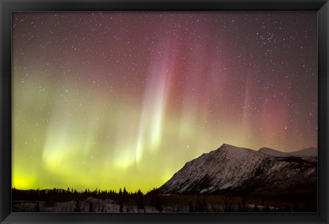 Framed Red Aurora Borealis over Carcross Desert, Canada Print