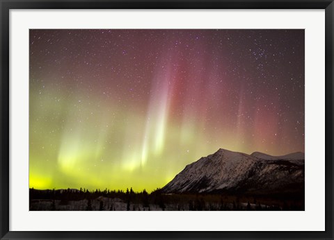 Framed Red Aurora Borealis over Carcross Desert, Canada Print