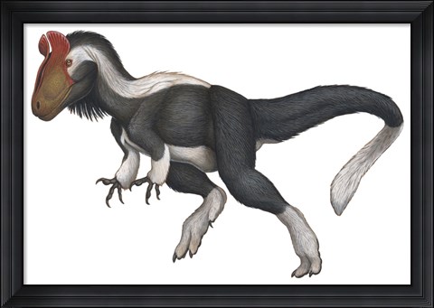 Framed Cryolophosaurus Print