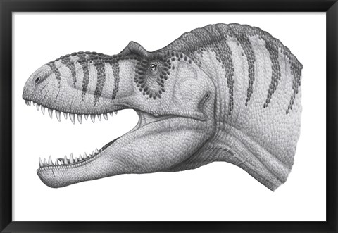 Framed Headshot of an Albertosaurus Sarcophagus Print