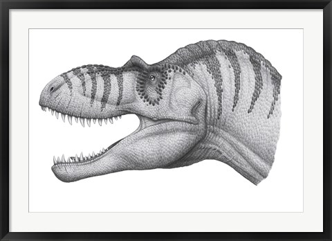 Framed Headshot of an Albertosaurus Sarcophagus Print