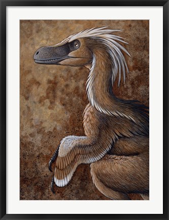 Framed Velociraptor, a Dromaeosaurid dinosaur of the Cretaceous Period Print