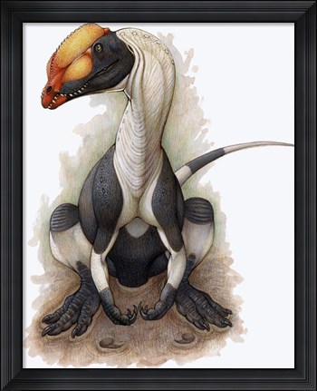 Framed Dilophosaurus Print
