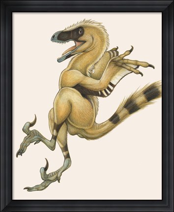 Framed Bambiraptor Print
