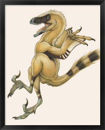 Framed Bambiraptor Print