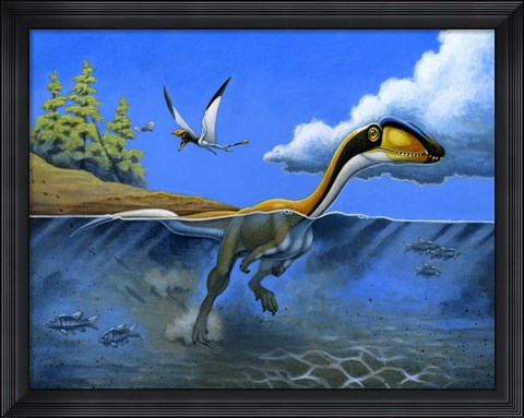 Framed Megapnosaurus Dinosaur Goes for a Swim Print