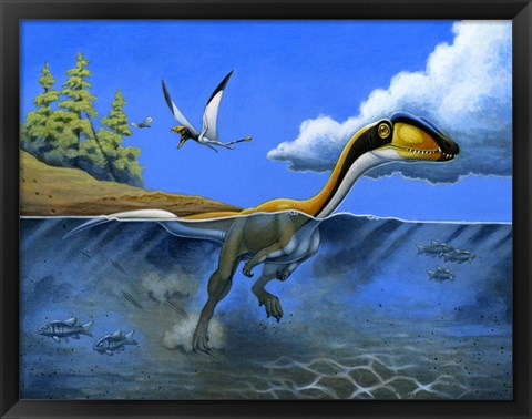 Framed Megapnosaurus Dinosaur Goes for a Swim Print