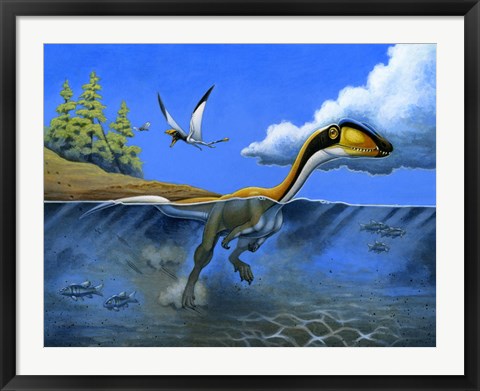 Framed Megapnosaurus Dinosaur Goes for a Swim Print