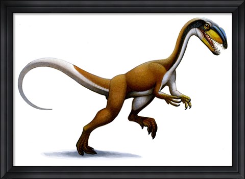 Framed Megapnosaurus Print