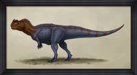 Framed Ceratosaurus Dentisulcatus Print