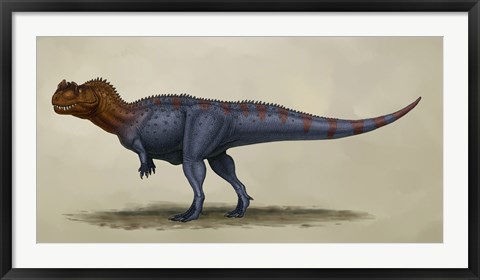 Framed Ceratosaurus Dentisulcatus Print