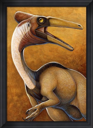 Framed Pelicanimimus Print